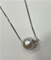 Collana Salvini Donna in Oro bianco Perla 80646743 - 80646743